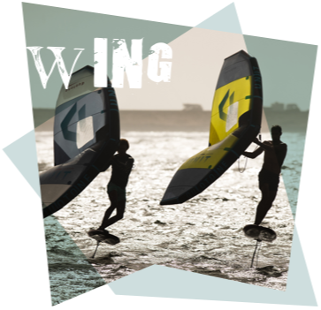 Wing Courses